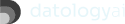 Co-Founder & CTO, DatologyAI
